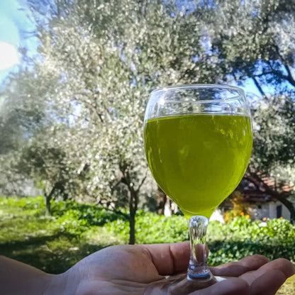 2025 Yeni Hasat Premium Zeytinyağı 1 Lt. Cam Şişe